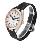 Omega Seamaster Aqua Terra 220.22.41.21.02.001 Super Clone Edition - Image 5