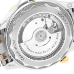 Omega Seamaster Diver Yellow Gold 210.20.42.20.03.001 Super Clone - Image 7