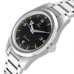 Omega Seamaster Railmaster Steel 220.10.38.20.01.002 Super Clone - Image 2